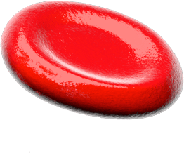 Red Blood cell