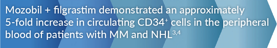 Mozobil + Filgrastim demonstrated an approximately 5-fold increase in circulating CD34+ cells in peripheral blood of patients with MM and NHL3,4
